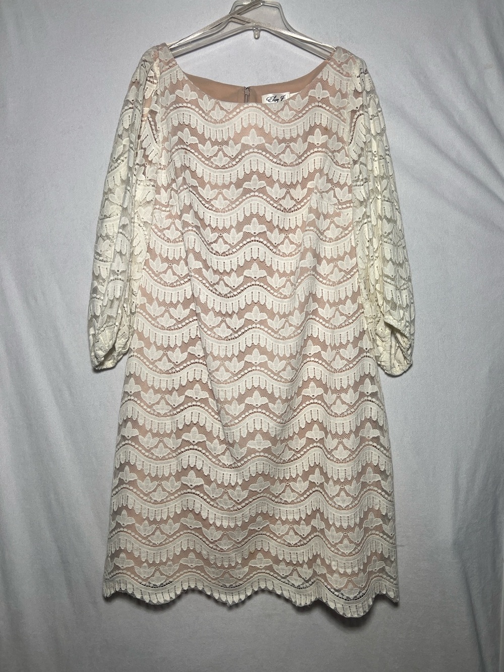 Eliza J Crochet Wave Pattern Lace Dress Three Quarter Balloon Sleeve 14